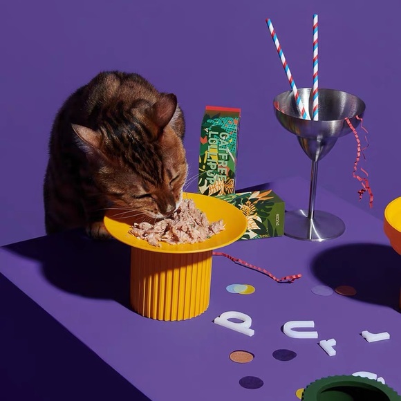 Purrre elevated pet bowl protecting cervical spine & prevent spilling food - Picture 4 of 6